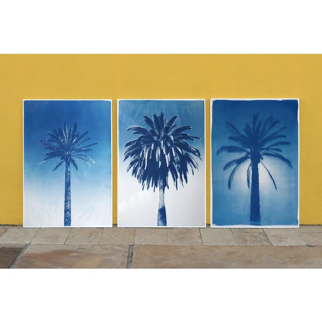 Exclusive hand painted limited edition cyanotype. Details: + Title: Desert Palm Trio + Edition Size: only 50 + Stamped and...