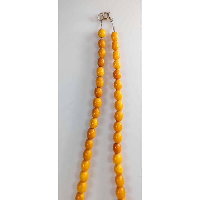20th Century Butterscotch Egg Yolk Baltic Amber Bead Necklace For Sale - Image 11 of 12