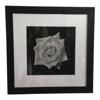 Vintage Black & White Rose Photograph For Sale
