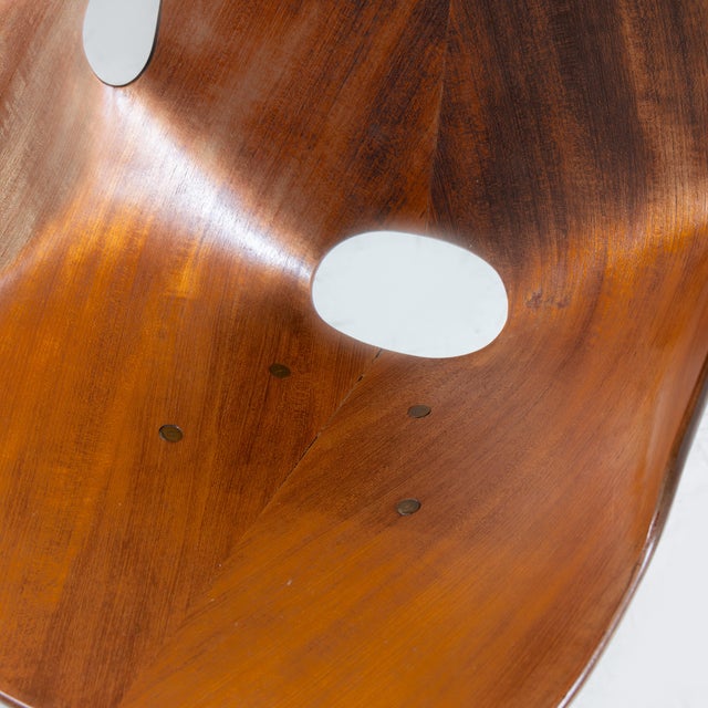 Wood Medea Chair by Vittorio Nobili for Fratelli Tagliabue, 1955 For Sale - Image 7 of 7