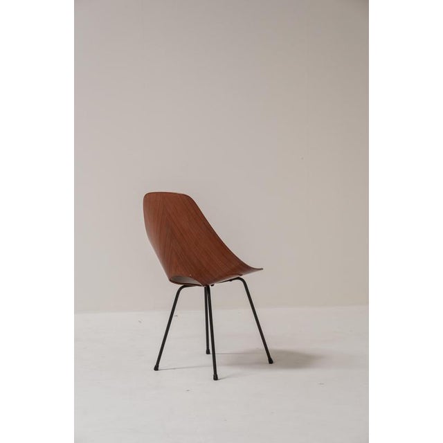 1950s Medea Chairs by Vittorio Nobili, Italy, 1955, Set of 6 For Sale - Image 5 of 17