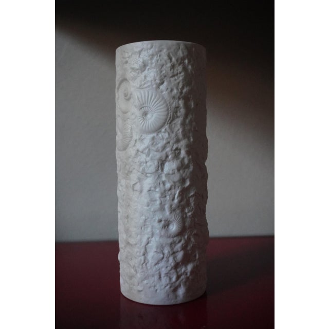 Vintage German Vases with Fossil Design in Biscuit Porcelain from AK Kaiser, 1960s, Set of 5 For Sale - Image 10 of 18