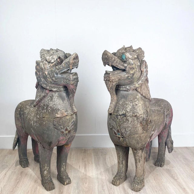 A pair of very large South East Asian temple lions in hardwood with mica eyes, 19th Century.