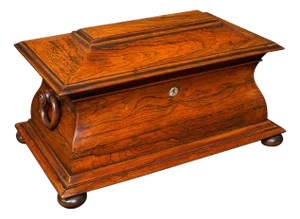 Antique Sarcophagus Loose Leaf Tea Caddy, Drawing Room, English, Regency, c.1820
