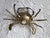 Mid Century Brass Crab Decorative Object For Sale - Image 4 of 5