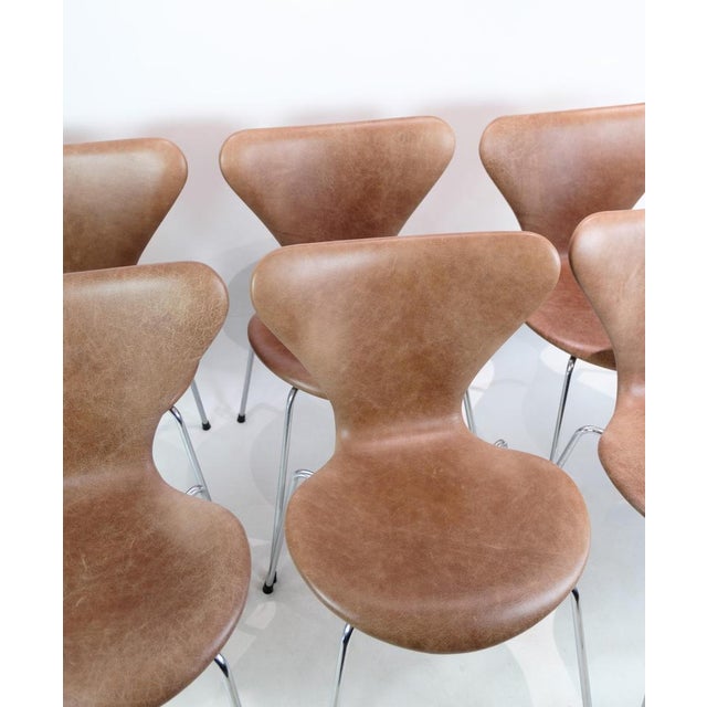 Animal Skin Series Seven Model 3107 Chairs by Arne Jacobsen for Fritz Hansen, Set of 6 For Sale - Image 7 of 16