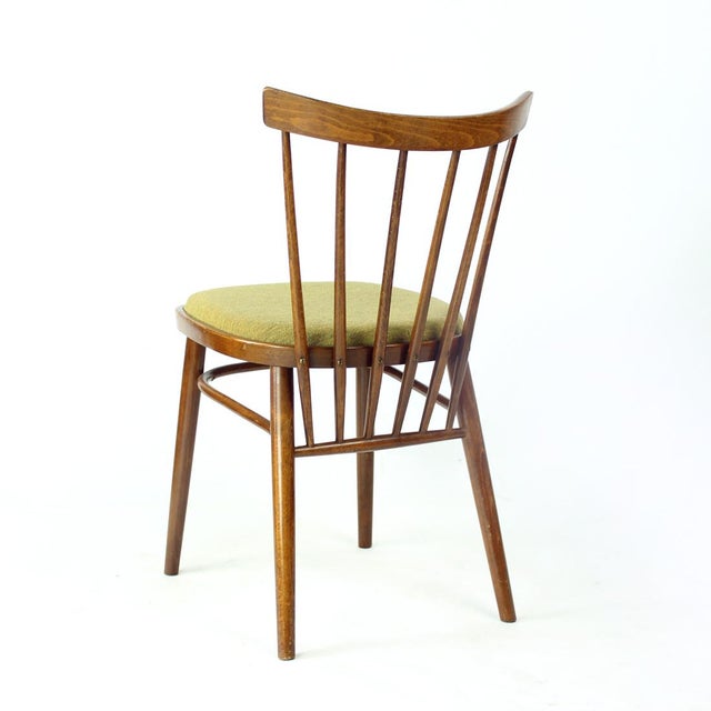 Wood Dining Chairs by Tatra, Czechoslovakia, 1960s, Set of 4 For Sale - Image 7 of 17