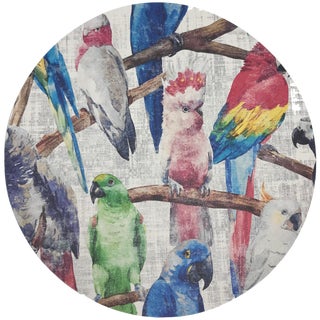 Nicolette Mayer Cockatoo Fantasia 16" Round Pebble Placemats, Set of 4 For Sale