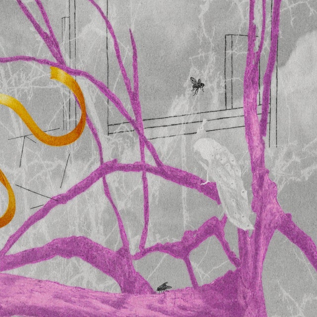 Contemporary The Peacock by Steve Moors, 26"x26" Framed For Sale In New York - Image 6 of 11