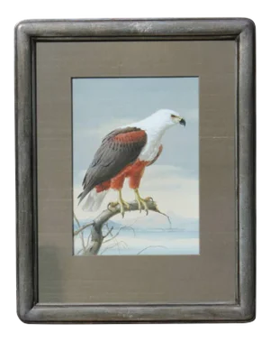 Rena Fennessy Photorealist Eagle Watercolor Painting 1970s