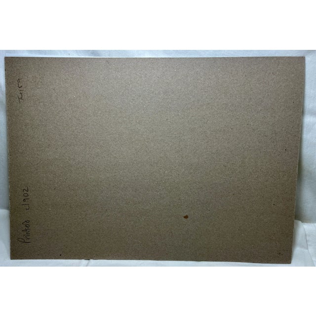 Antique Fish Print From England Featuring a Black Fish, Ray’s Bream, Opah, Medusa Fish & a Louvan - Circa 1902 For Sale - Image 9 of 9