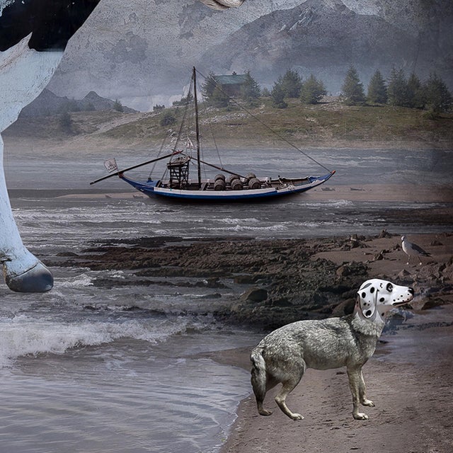 2010s Wanderers by Marcin Owczarek | Photography on Fine Art Hahnemühle Animals and whimsical scenes. For Sale - Image 5 of 5