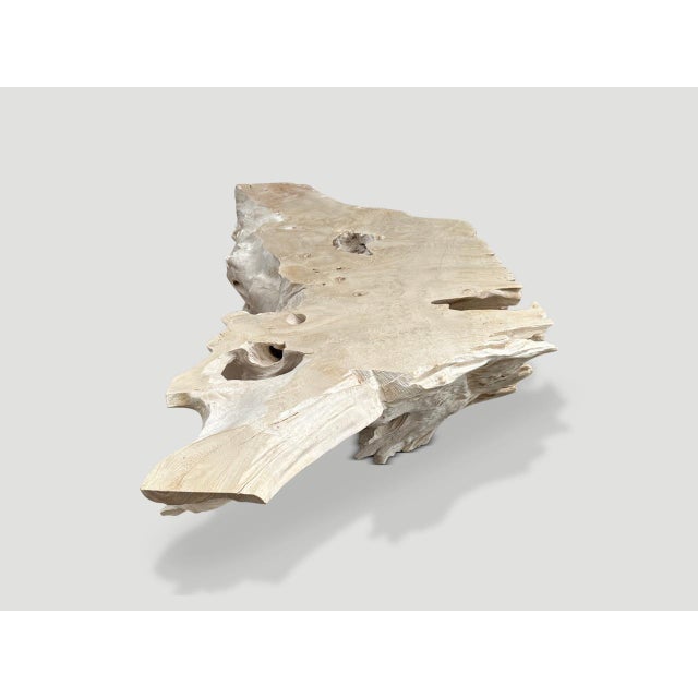 Andrianna Shamaris Bleached Sculptural Teak Wood Coffee Table For Sale - Image 16 of 18