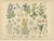 Late 19th Century Antique Botanical Charts of German Wildflowers, Stuttgart, 1885, Set of 6 For Sale - Image 5 of 9