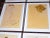 Authentic Vintage 20th Century Signed Egon Schiele Expressionist Nude Female Figural Lithographs - Set of 12 For Sale - Image 4 of 8