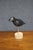 Early 20th Century Carved Black Crow Folk Art Decoy on Wood Base For Sale In Philadelphia - Image 6 of 12