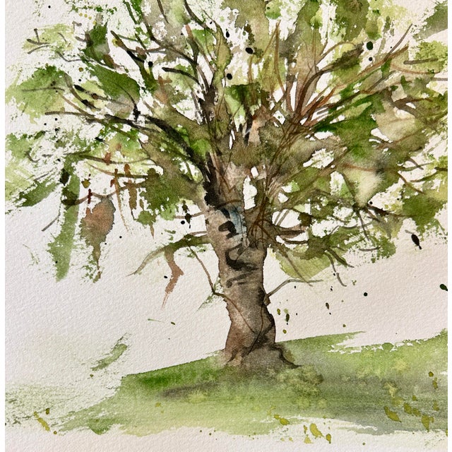 Original Watercolor Painting “Avocado Tree” For Sale - Image 4 of 10