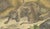 Paper Karl Joseph Brodtmann, Lioness with Cubs, 1816, Lithograph For Sale - Image 7 of 10