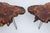 2010s Gorgeous Redwood Tables For Sale - Image 5 of 10