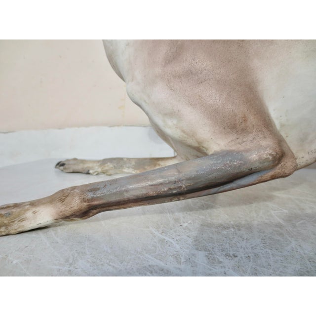Life Size Antique French Porcelain Grey Hound 1867 ( 159 Years Old) For Sale - Image 10 of 16