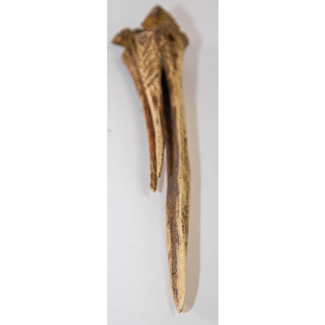 Early 20th Century Antique Ethnic Artifact Sepik River Cassowary Bone From Papua New Guinea For Sale - Image 5 of 12