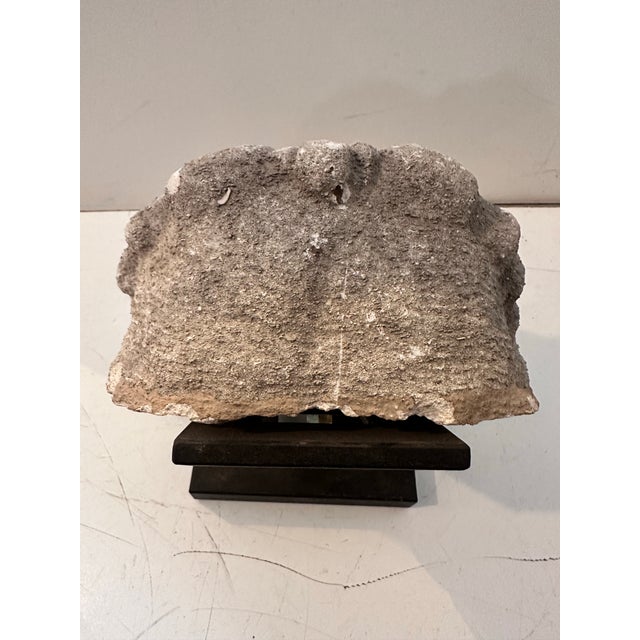 A heavy concrete age architectural head sculpture featuring serene facial details and flowing hair, mounted on a dark...