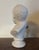 19th Century Antique 19th Century English Parian Porcelain Bisque Portrait Bust of President James Garfield For Sale - Image 5 of 14