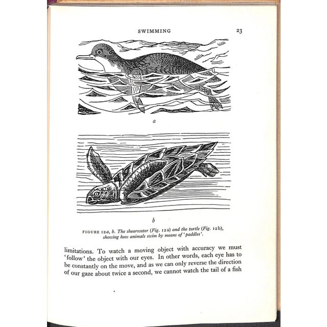 "How Animals Move: The Royal Institution Christmas Lectures 1951" 1953 Gray, James For Sale - Image 9 of 11