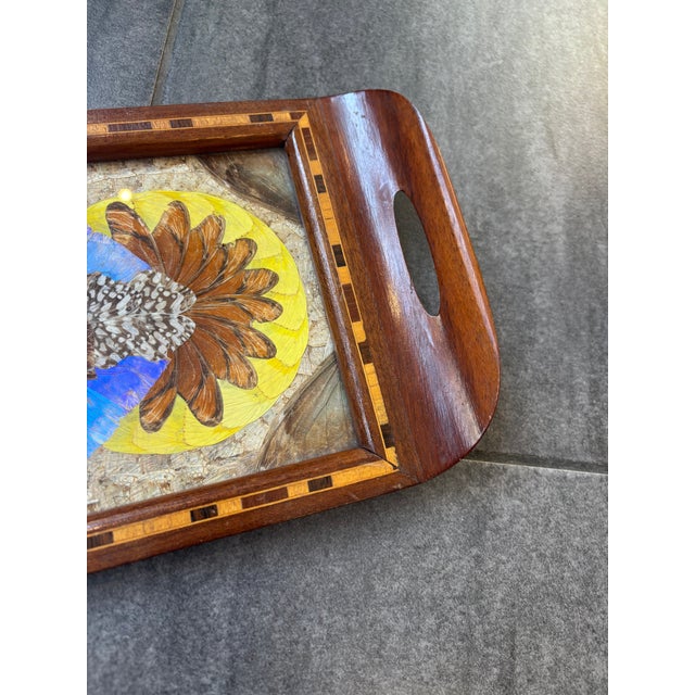 1940s Vintage Morpho Butterfly Tray, 1940s For Sale - Image 5 of 6