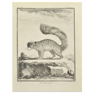 Pierre Francois Tardieut, Le Coquallin, Etching, 1771 For Sale