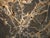 Andrianna Shamaris High Quality Petrified Wood Sculpture or Coffee Table For Sale - Image 4 of 18