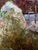 Oil Painting Moonlit Night Oksana Ivanyuk For Sale - Image 4 of 12