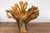 Vintage Rustic Chinese Camphor Wood Tree Root Armchair with Light Varnish For Sale - Image 4 of 12