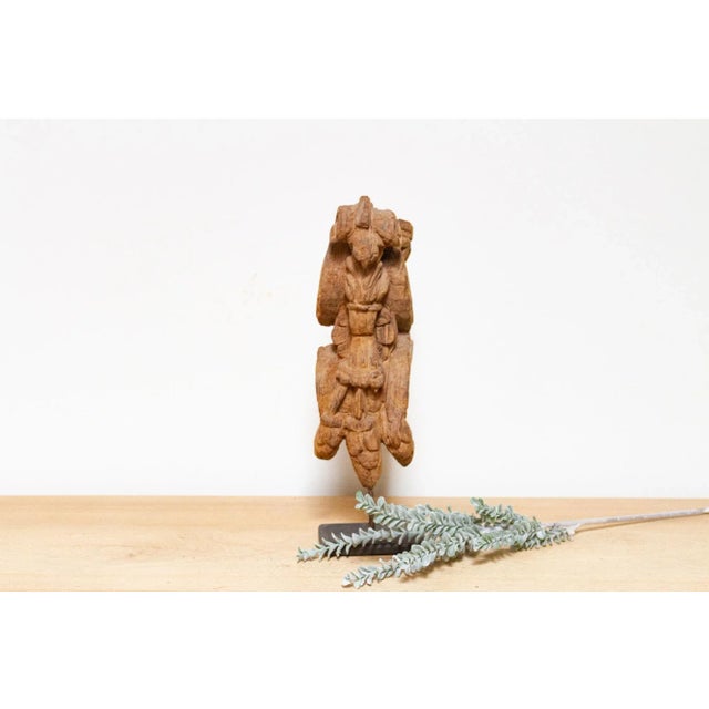 Wood 1700's Carved Peacock Corbel For Sale - Image 7 of 7