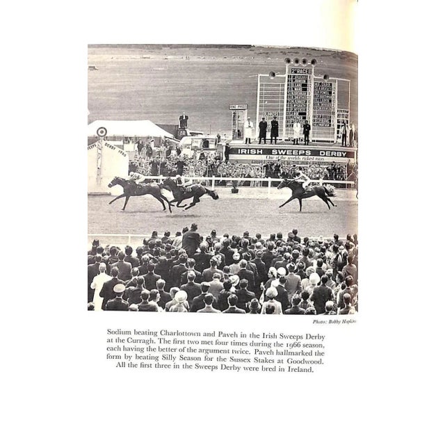 1960s "The Horse in Ireland" 1967 Browne, Noel Phillips [Edited By] For Sale - Image 5 of 10