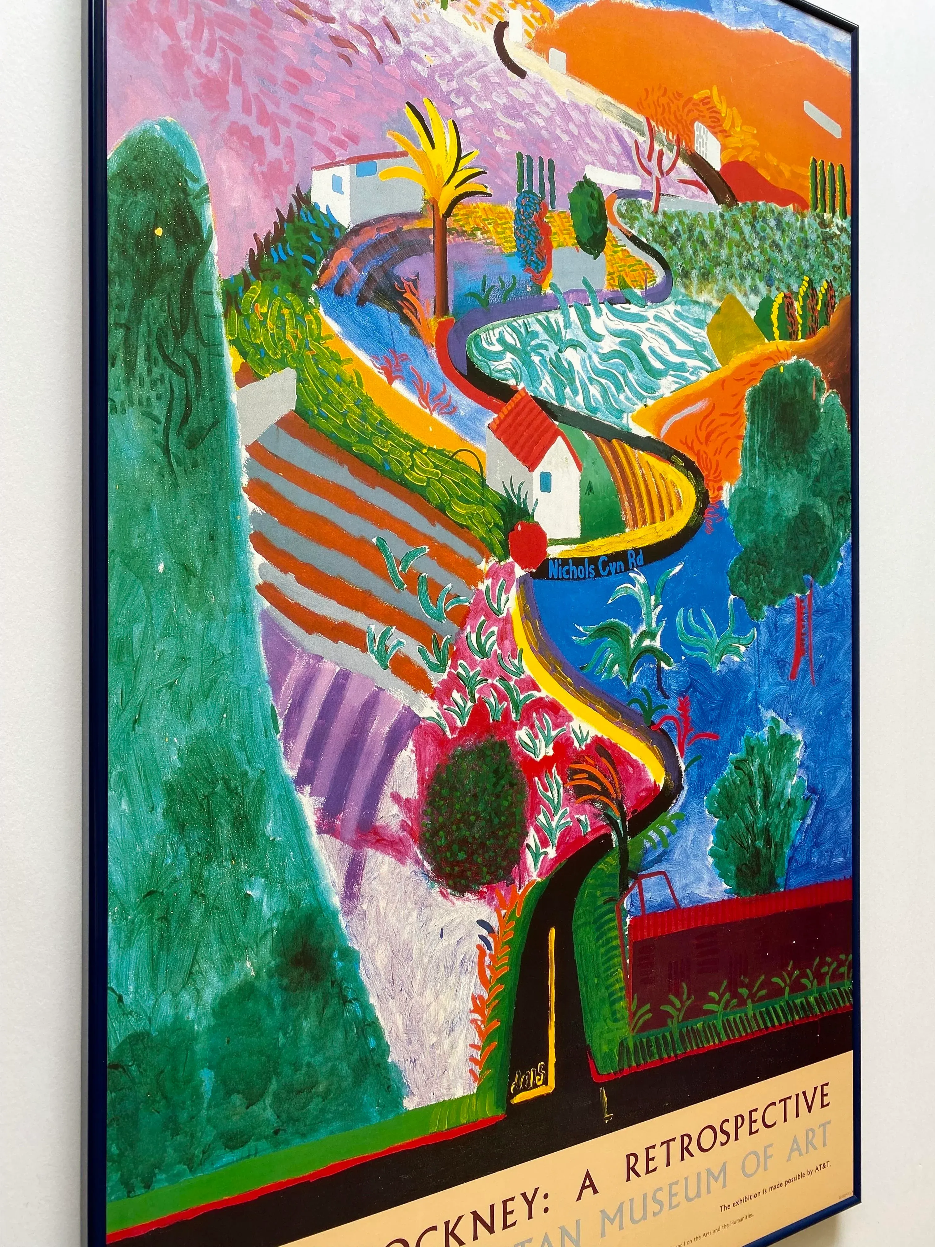 David Hockney Vintage 1988 Lithograph Print Framed Large Museum