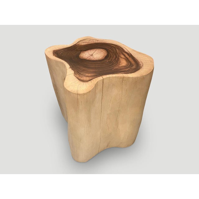 Andrianna Shamaris Rare Sono Wood Oversized Side Table or Pedestal For Sale - Image 9 of 18