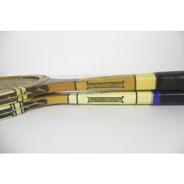Curated Set of Vintage Sport Tennis Rackets for Designer Decorating ...