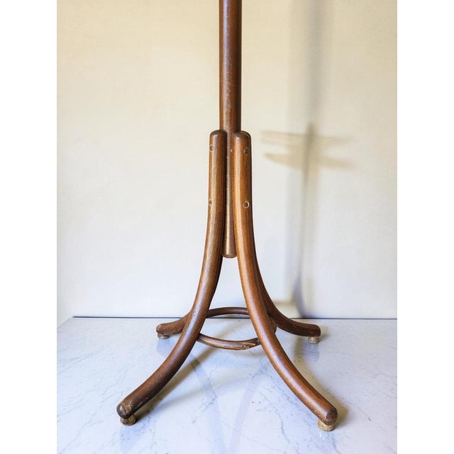 Thonet Parrot Coat Rack by Michael Thonet for Thonet, 1950s For Sale - Image 4 of 10