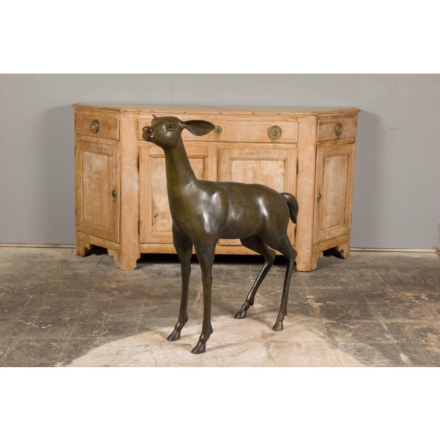 Continental 1930s Life Size Bronze Sculpture of a Deer Standing on its Four Legs For Sale In Atlanta - Image 6 of 12