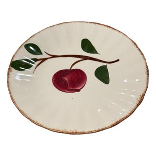 Vintage Blue Ridge Southern Potteries Hand-Painted "Crab Apple" Bread & Butter Plate - Brown Rim Variant For Sale