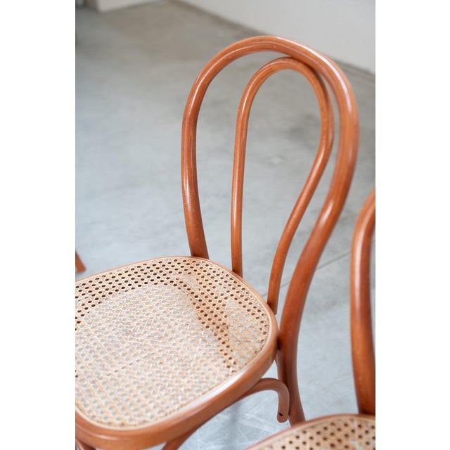 Chairs in Curved Beech Wood and Straw Seat, 1990s, Set of 6 For Sale - Image 10 of 17