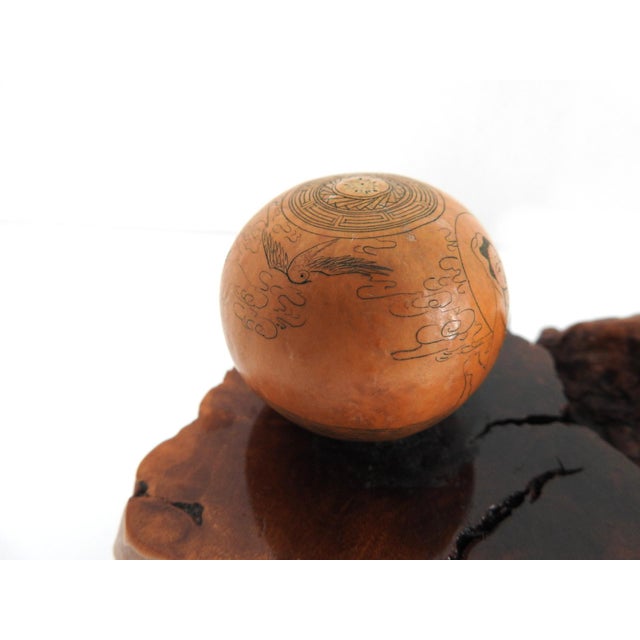 Mid-Century Organic Burl Wood Pedestal Stand & Fine Etched Pyrography Gourds - Set of 3 For Sale - Image 14 of 18