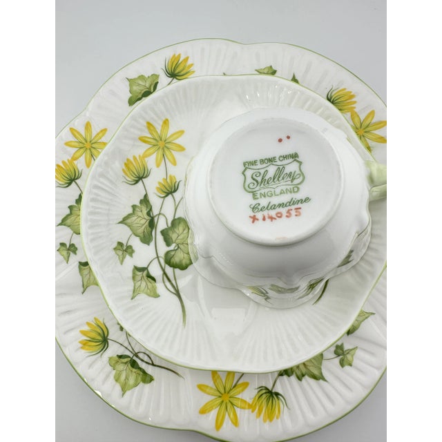 Yellow Shelley Cenandine Trio Dainty Shape, Vintage English Bone China 3 Piece Tea Set For Sale - Image 8 of 8