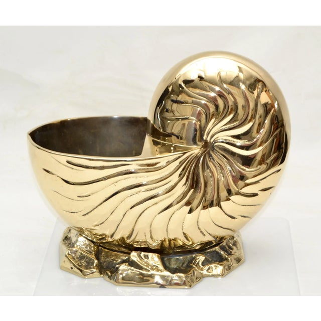 Hollywood Regency Polished Bronze Nautical Seashell Footed Planter For Sale - Image 12 of 13