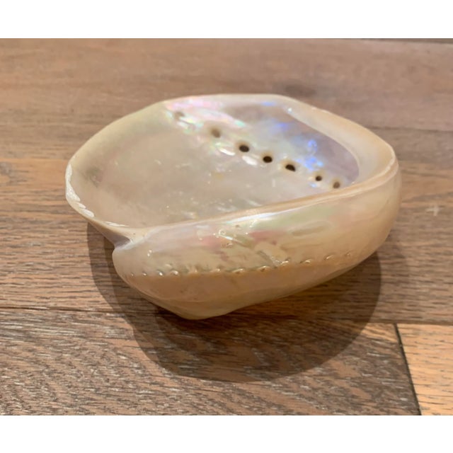 Traditional Mid 20th Century Abalone Shell For Sale - Image 3 of 6