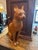 Gorgeous wooden seated cat sculpture attributed to Sarreid, Italy. Midcentury. Life-sized. Warm colored wood (oak? Pecan?)...