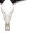 Contemporary African Wildebeest Horn, Full Skull For Sale - Image 3 of 4