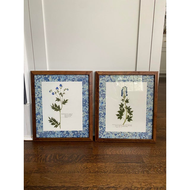 English Reproduction Pressed Flower Botanical Prints - Custom Burlwood Frames - Set of 2 For Sale - Image 3 of 8