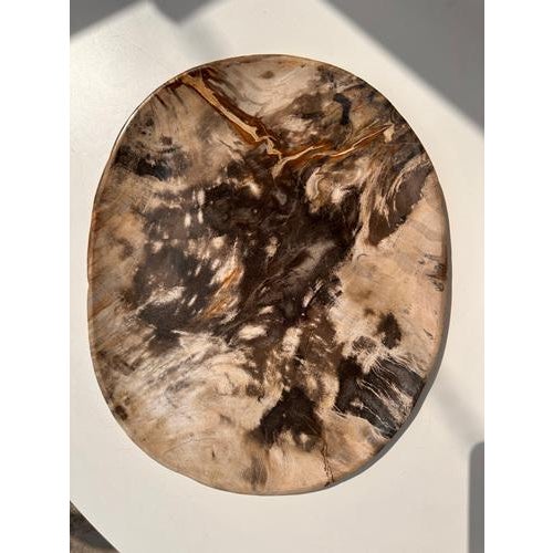 Very Large Vide-Poche or Dish in Petrified Wood For Sale - Image 13 of 18